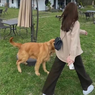 在水中
